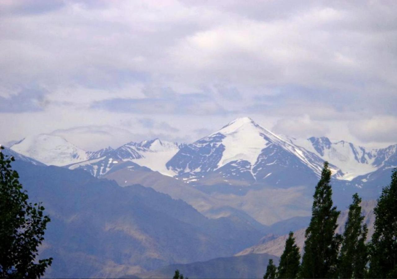 Hotel Ladakh Heaven Leh Eksteriør billede